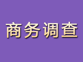 合川商务调查