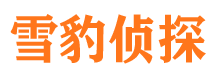 合川市私家侦探